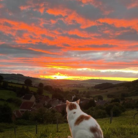 La Petite Maison Dans La Campagne Massingy-les-Vitteaux ภายนอก รูปภาพ