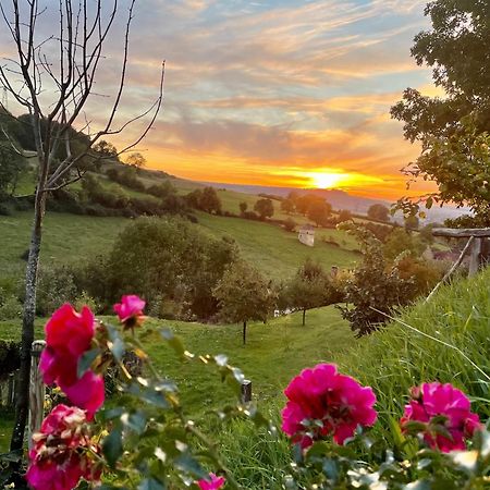 La Petite Maison Dans La Campagne Massingy-les-Vitteaux ภายนอก รูปภาพ