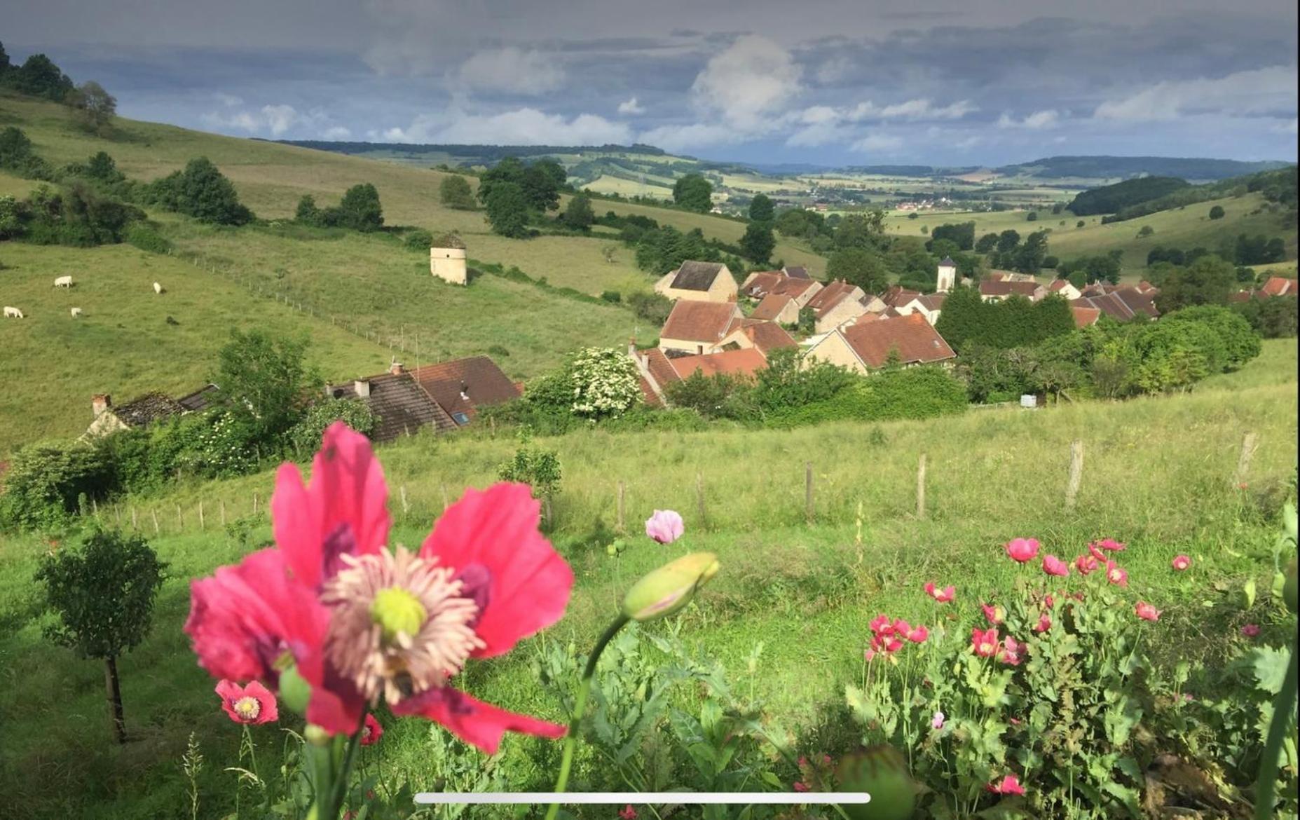 La Petite Maison Dans La Campagne Massingy-les-Vitteaux ภายนอก รูปภาพ